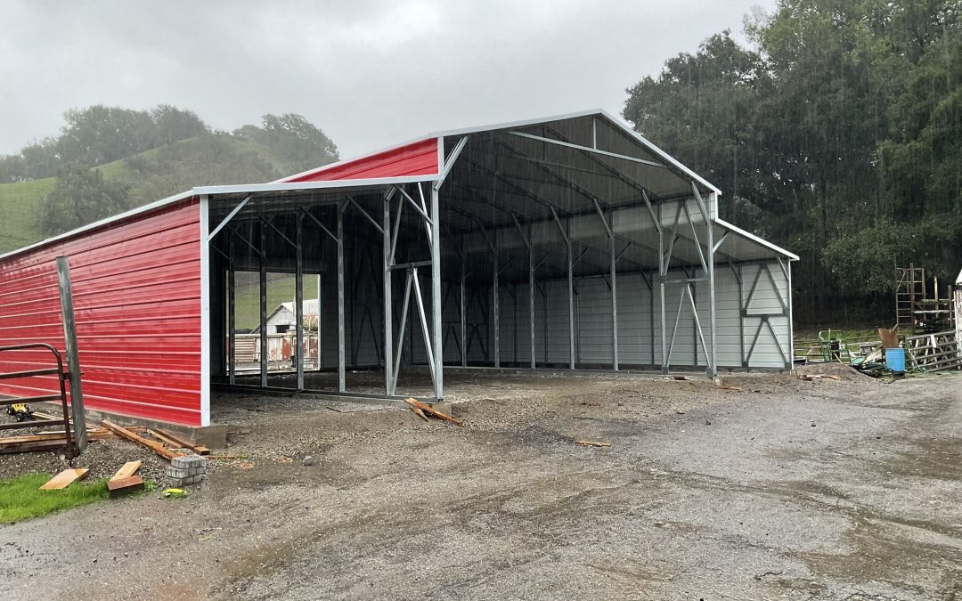 How to Choose the Right Metal Carport for Your Needs